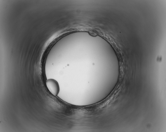 X0000097980246200804071132