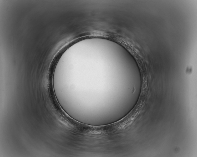 X0000097980247200804071132