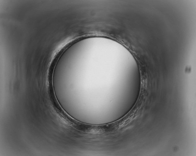 X0000097980248200804071132
