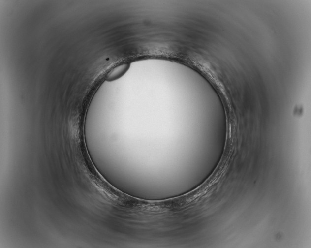X0000097980249200804071132