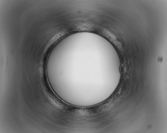 X0000097980250200804071132