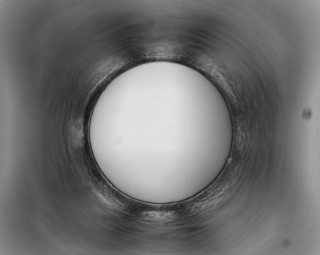 X0000097980251200804071132