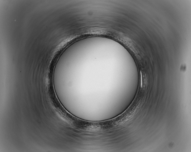 X0000097980252200804071132