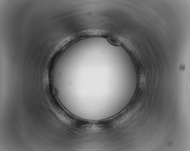 X0000097980254200804071132