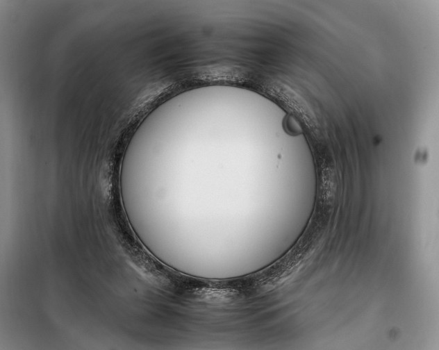 X0000097980255200804071132