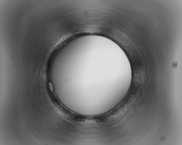 X0000097980256200804071132