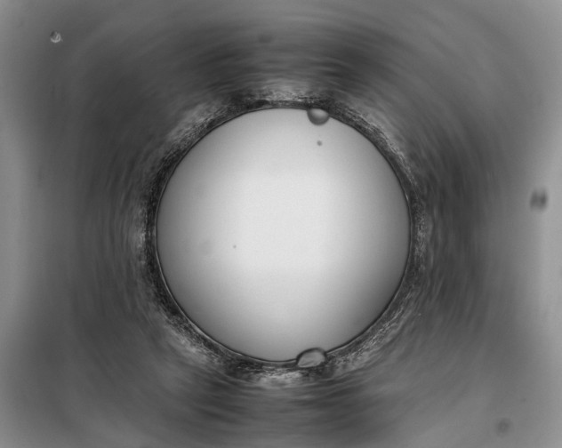 X0000097980257200804071132