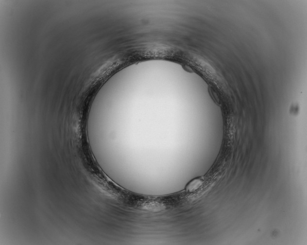X0000097980258200804071132