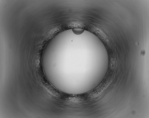 X0000097980259200804071132