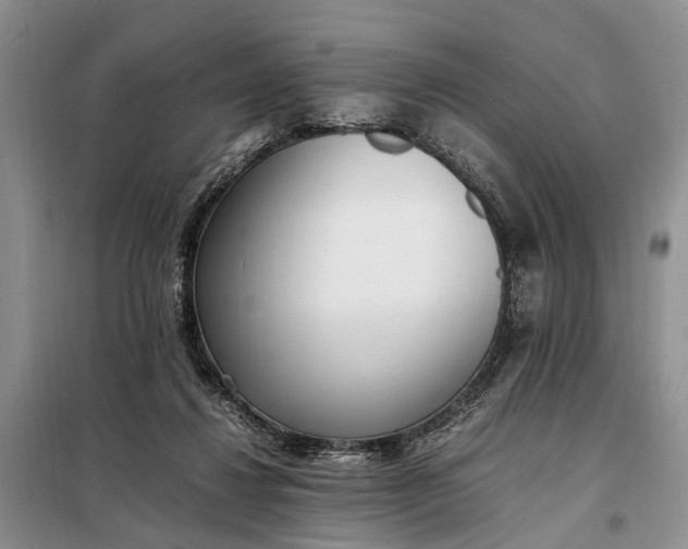 X0000097980260200804071132