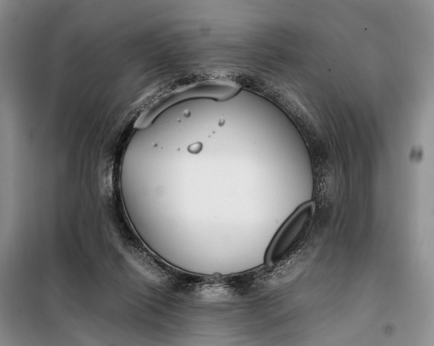 X0000097980262200804071132