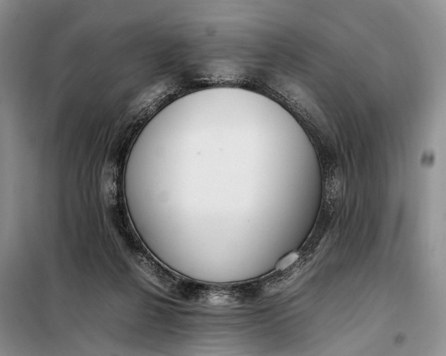 X0000097980264200804071132