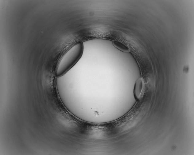 X0000097980268200804071132