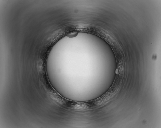 X0000097980270200804071132