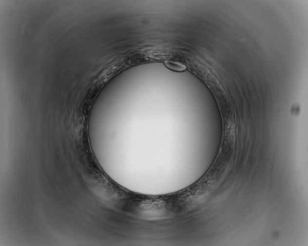 X0000097980271200804071132