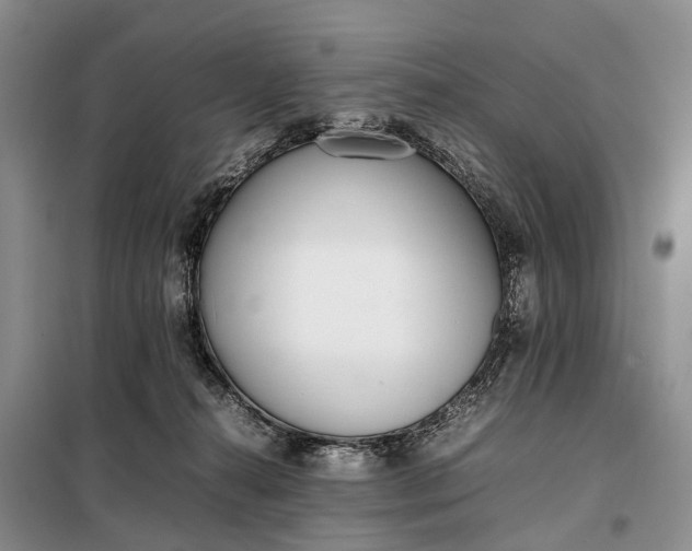 X0000097980272200804071132