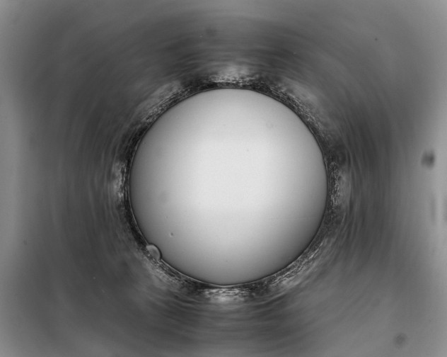 X0000097980273200804071132