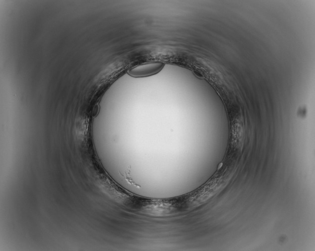 X0000097980278200804071133