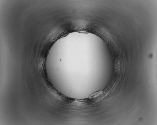 X0000097980280200804071133