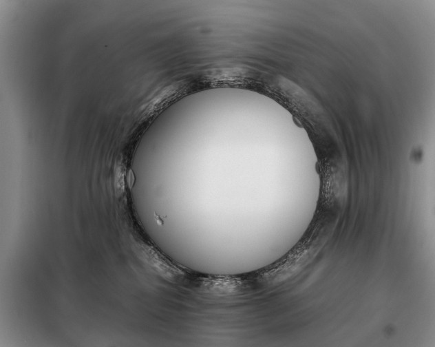 X0000097980282200804071133