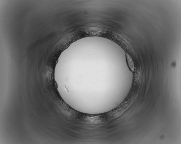 X0000097980283200804071133