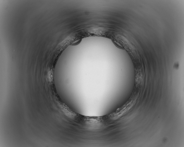 X0000097980285200804071133