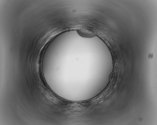 X0000097980290200804071132