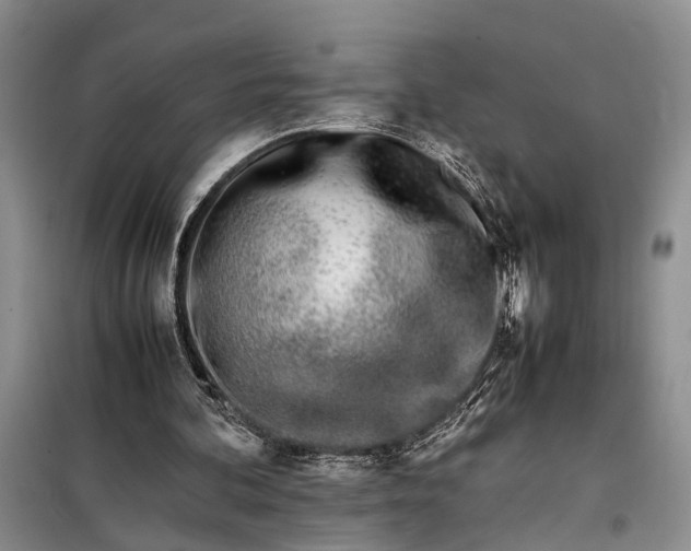 X0000097980292200804071132