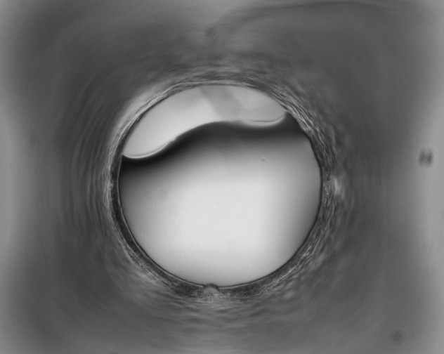 X0000097980293200804071132