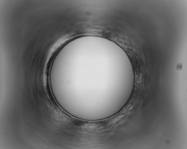 X0000097980294200804071132