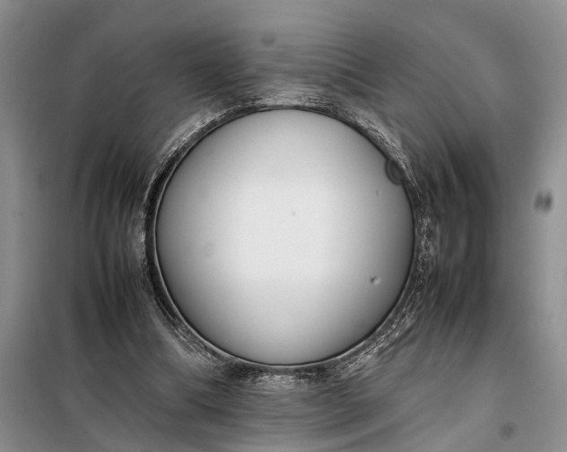 X0000097980298200804071132