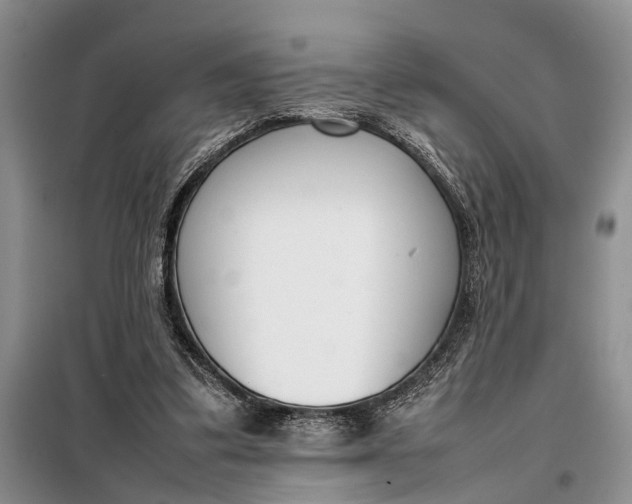 X0000097980299200804071132