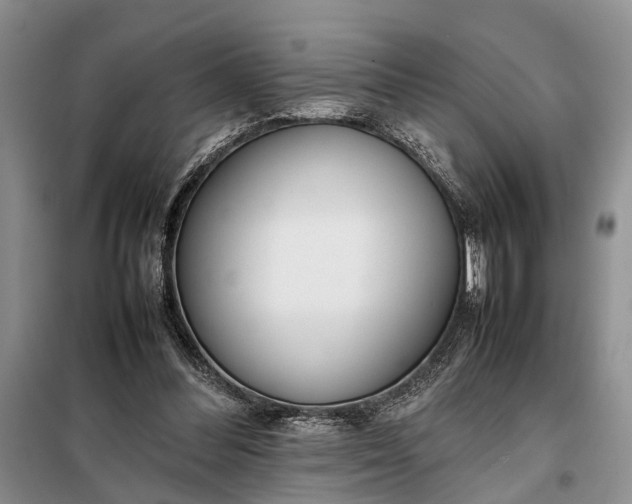 X0000097980300200804071132