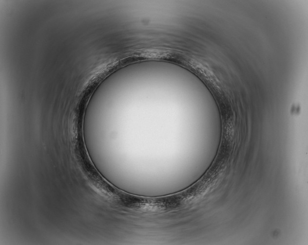 X0000097980303200804071132