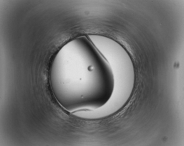 X0000097980305200804071132