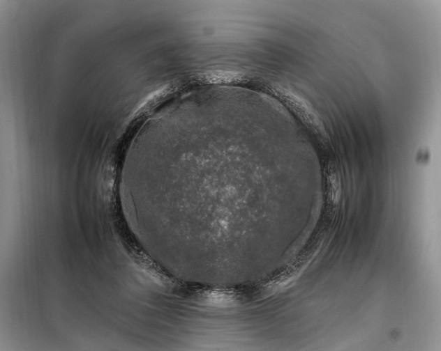 X0000097980308200804071132