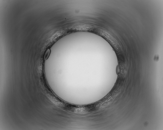 X0000097980309200804071132