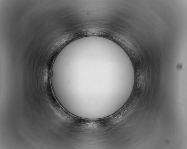 X0000097980310200804071132