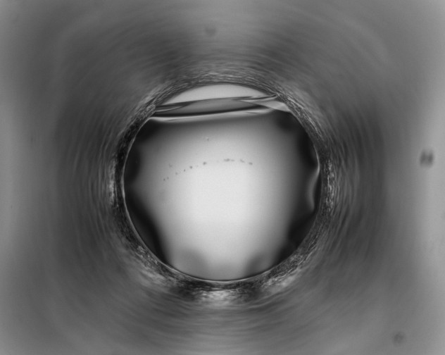 X0000097980312200804071132