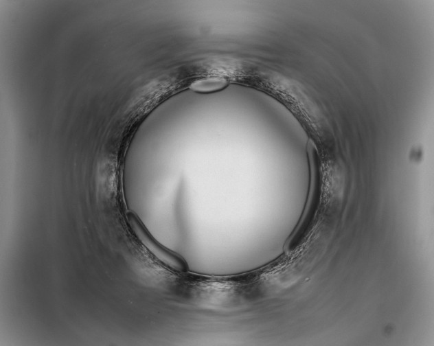 X0000097980313200804071132