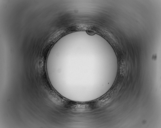 X0000097980314200804071132