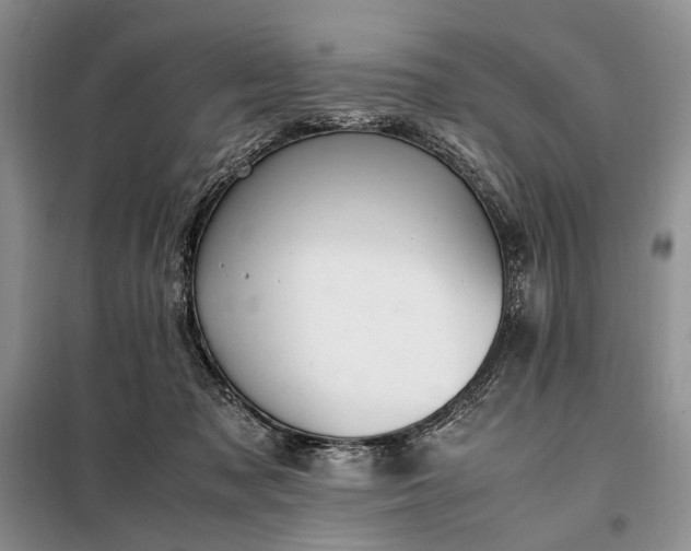 X0000097980317200804071131