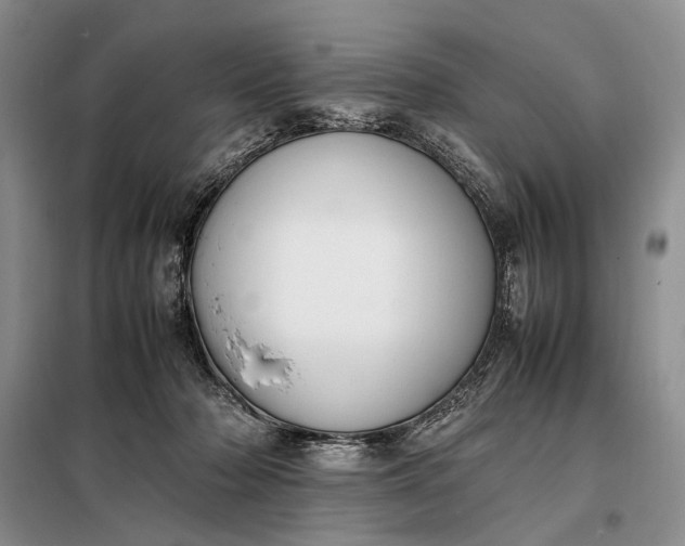 X0000097980318200804071131