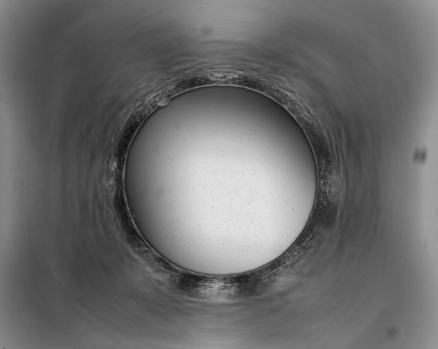 X0000097980319200804071131