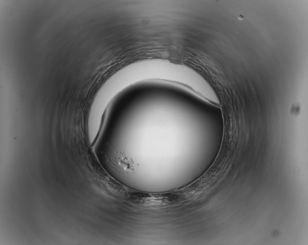 X0000097980320200804071131