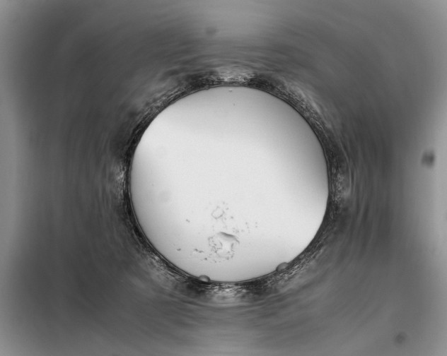 X0000097980321200804071131