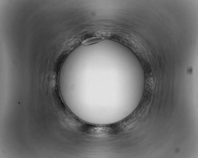 X0000097980323200804071131