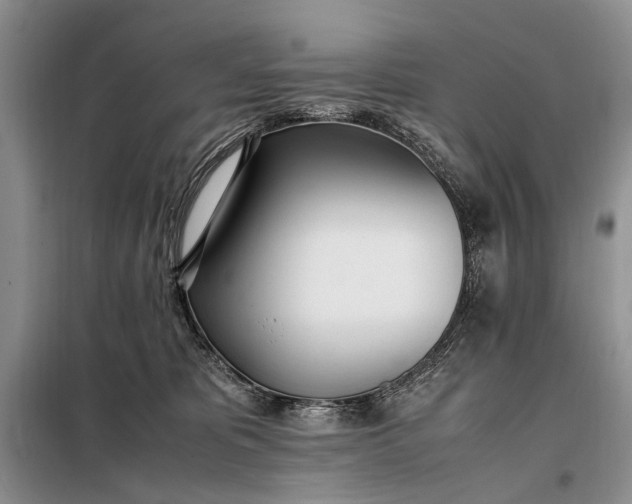 X0000097980325200804071131