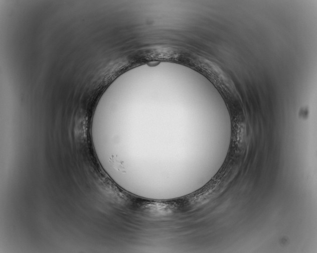 X0000097980326200804071131