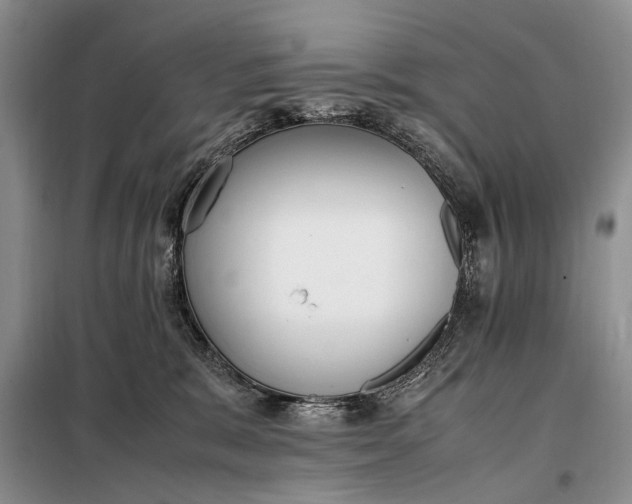 X0000097980327200804071131